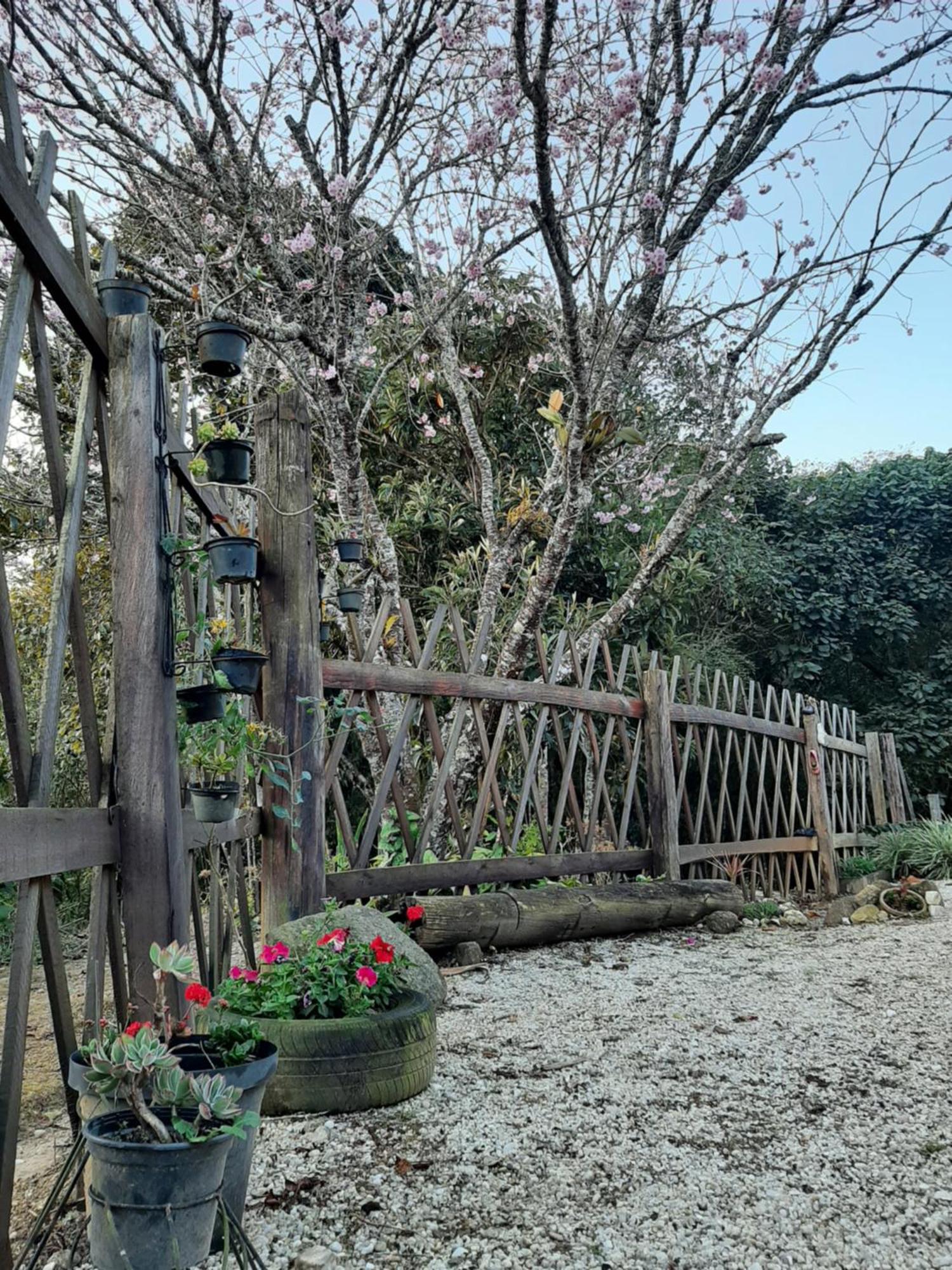 Villa Casa Kiiro, Um Ambiente Tranquilo E De Sossego. à Santo Antônio do Pinhal Extérieur photo