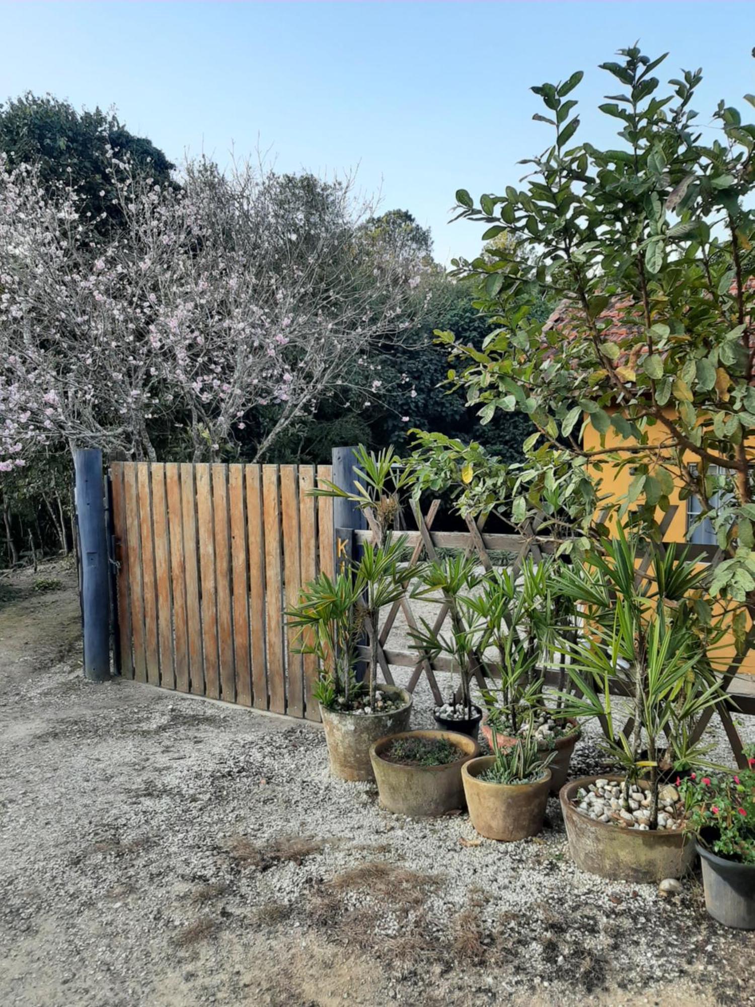 Villa Casa Kiiro, Um Ambiente Tranquilo E De Sossego. à Santo Antônio do Pinhal Extérieur photo